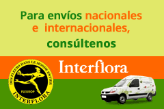 Para envíos nacionales e internacionales, consúltenos